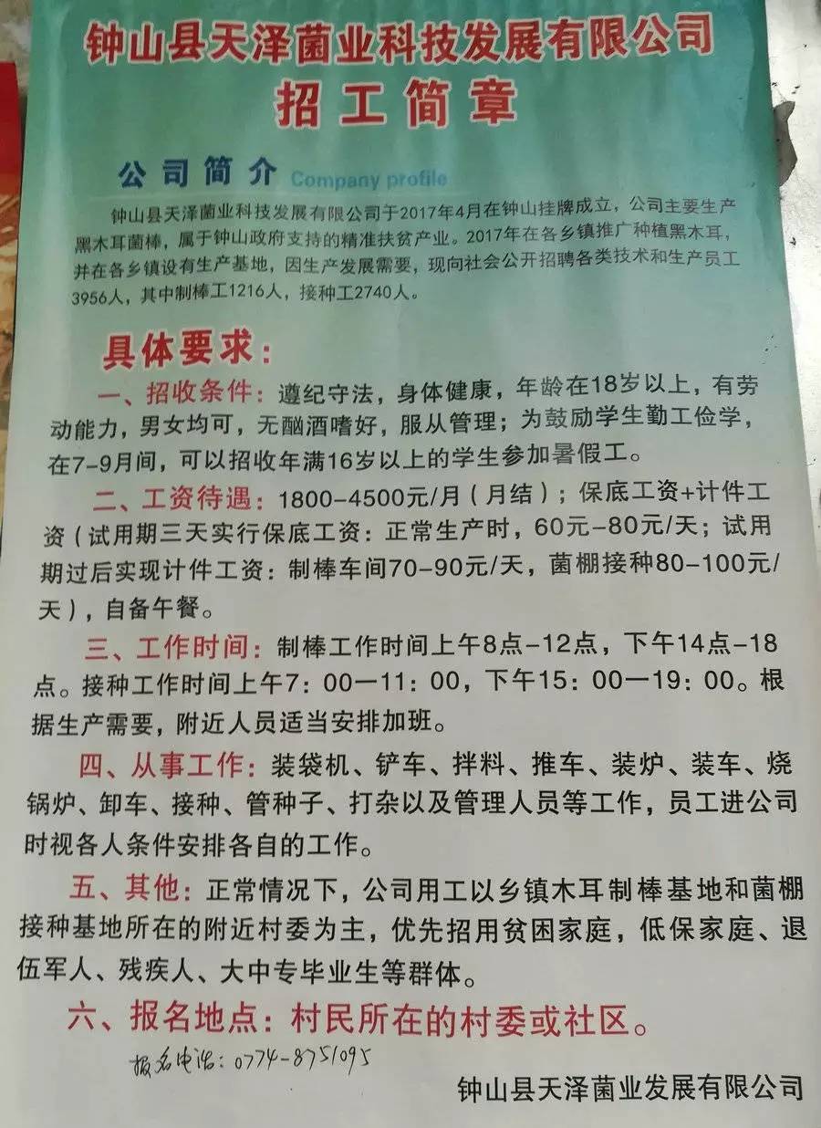 薛店最新工厂招聘信息全面解析