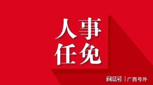 广西区最新人事任免动态概览